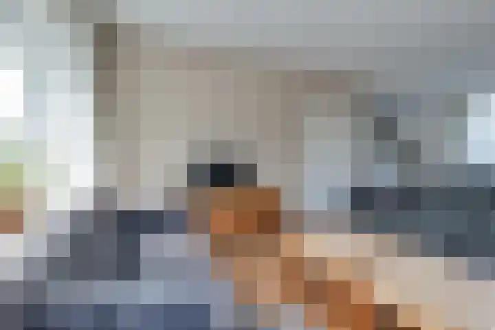 Emmasingel 80 Groenlo thumbnail 9