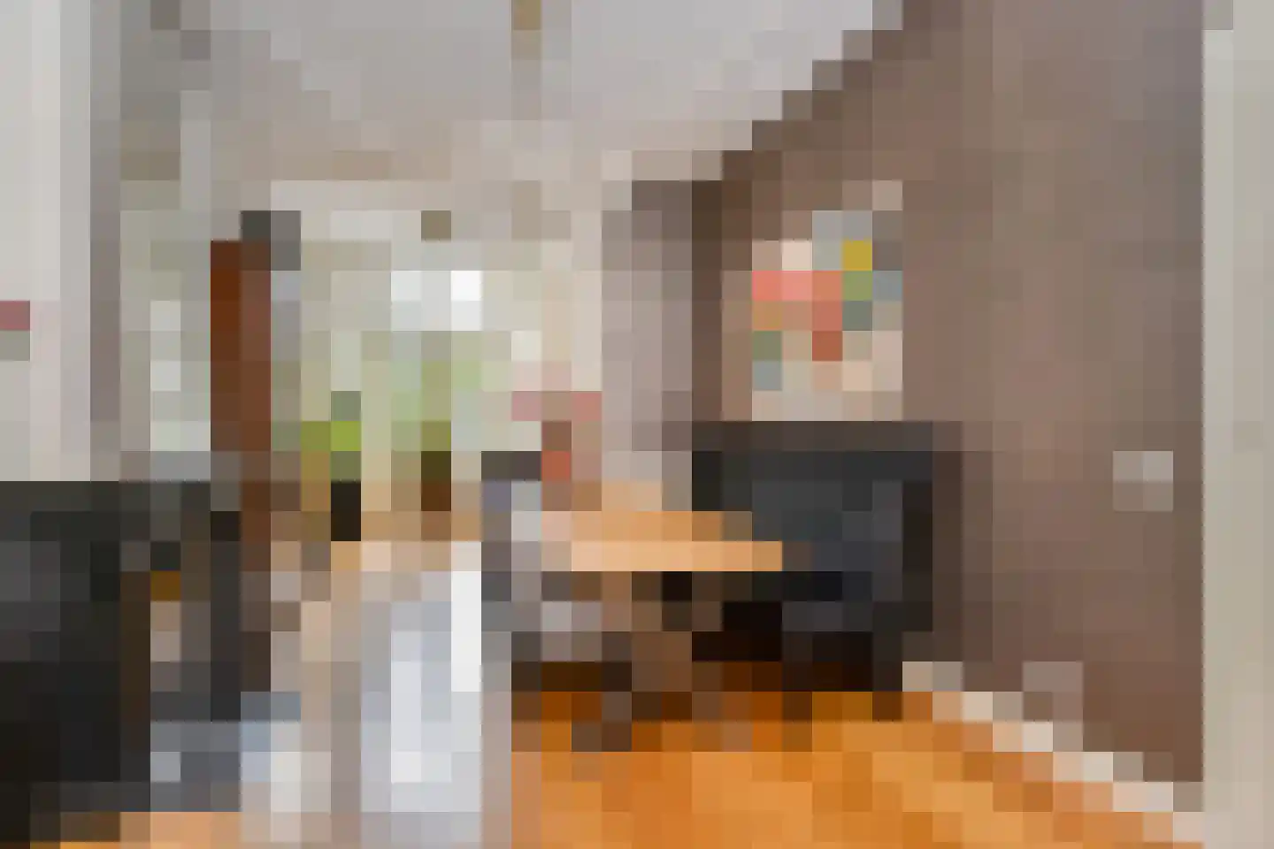 Emmastraat 1 C Den Haag thumbnail 17