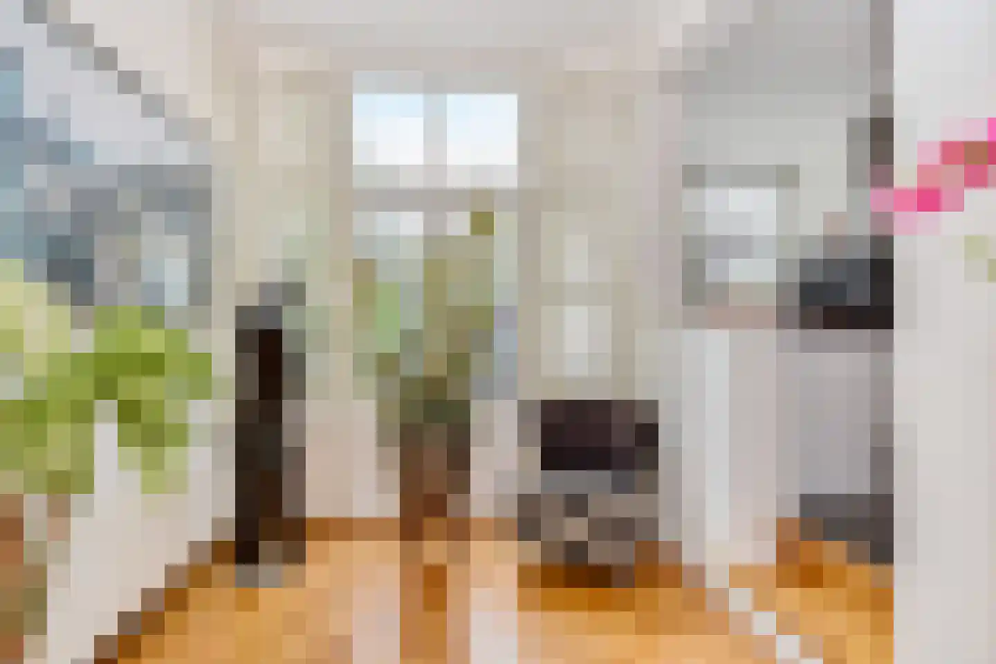 Emmastraat 1 C Den Haag thumbnail 22