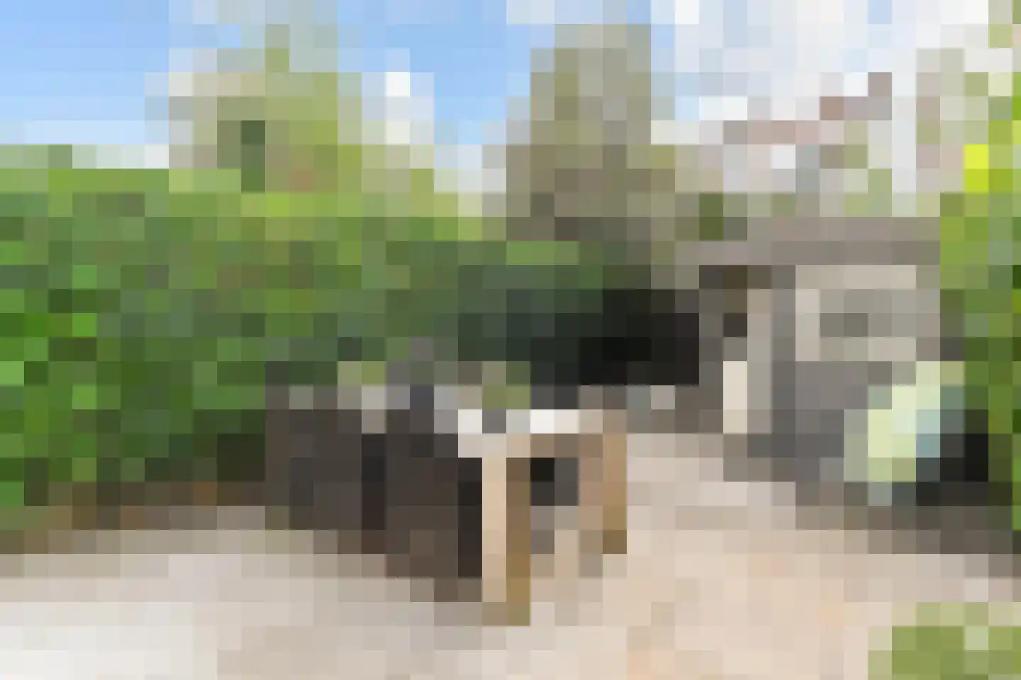 Emmastraat 1 C Den Haag thumbnail 26