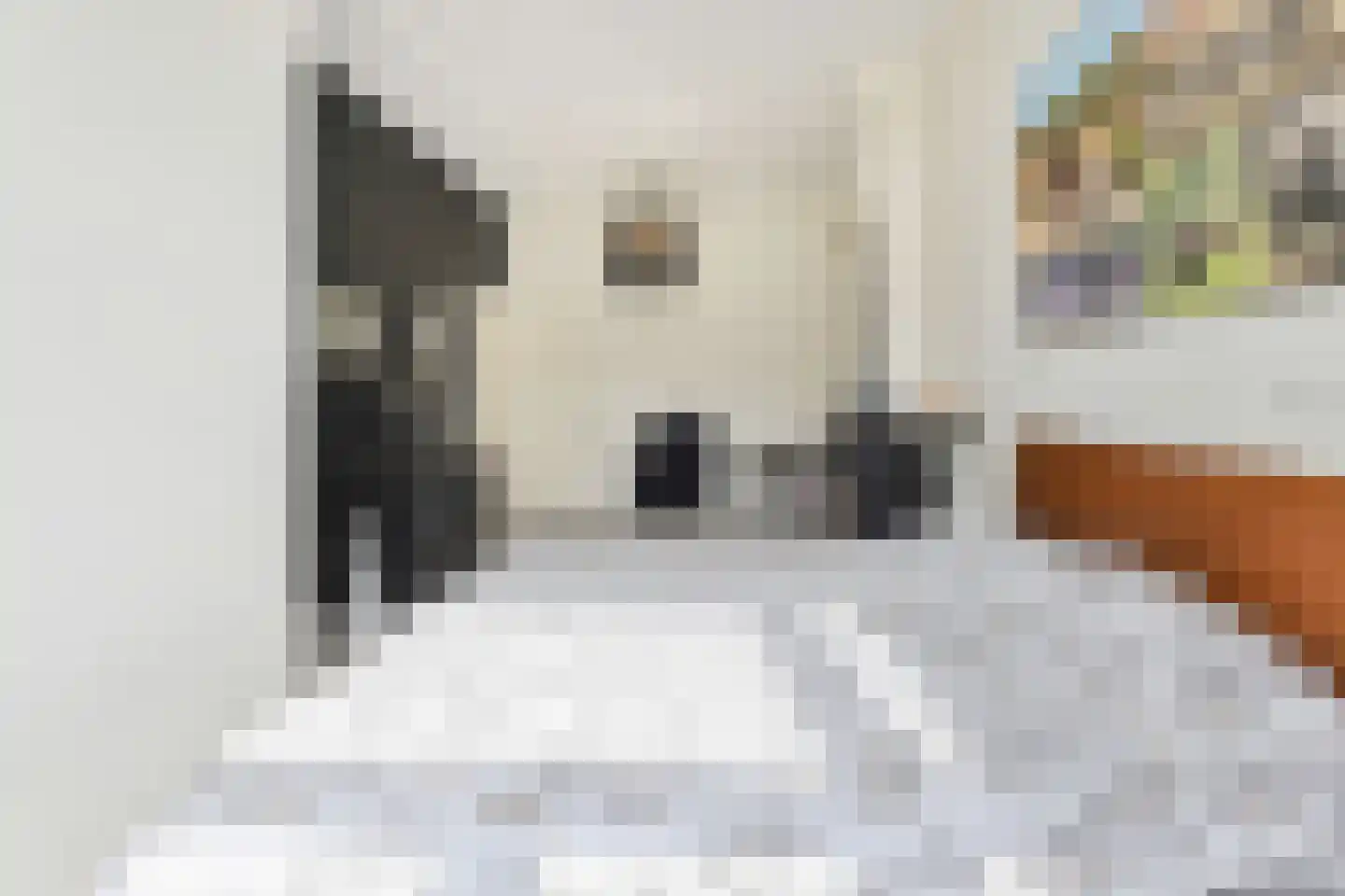Emmastraat 1 C Den Haag thumbnail 36