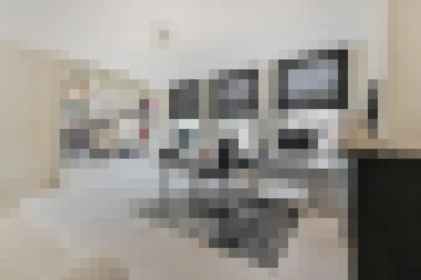 Emmastraat 1 C Den Haag thumbnail 57