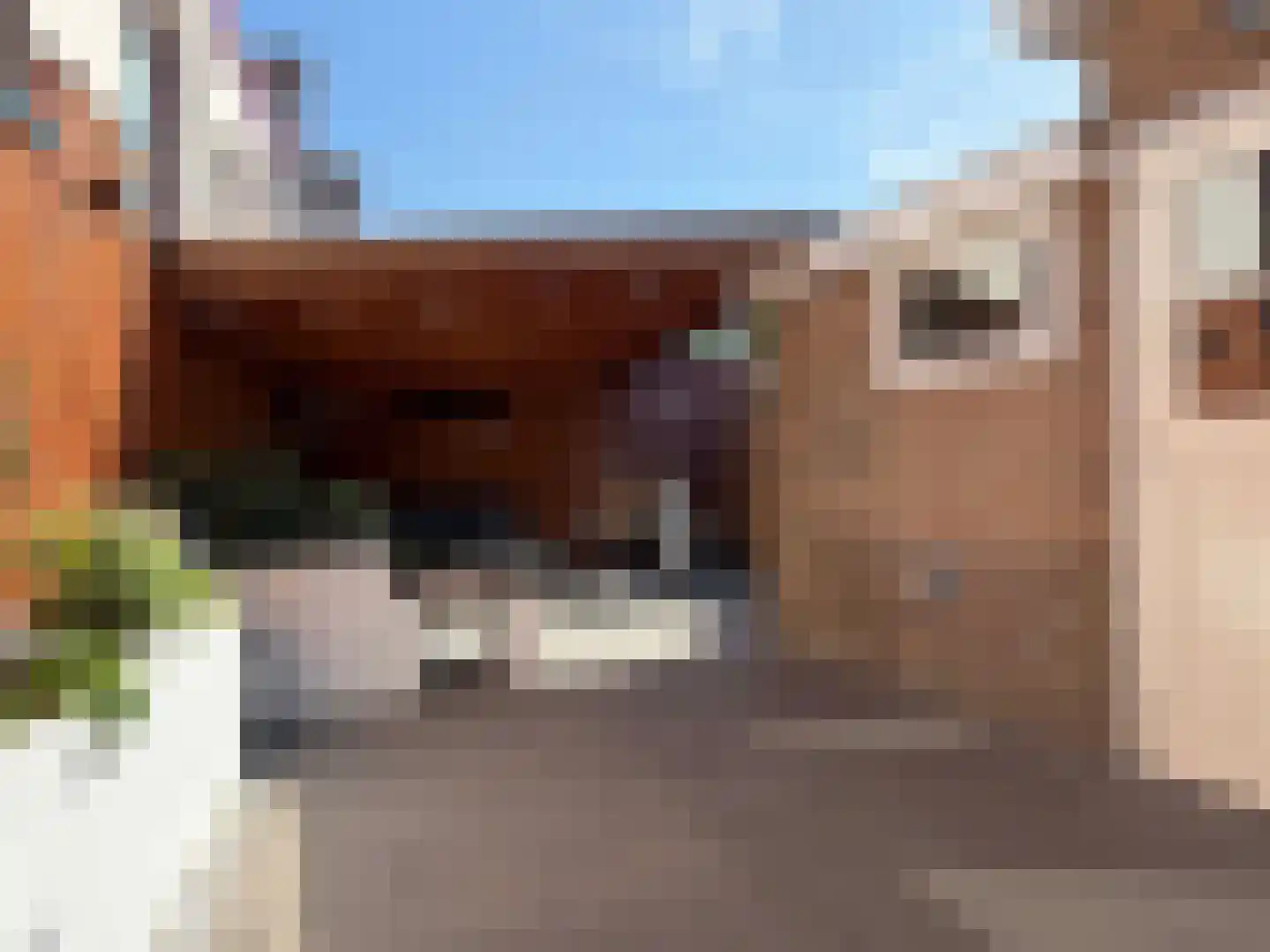 Emmastraat 1 Coevorden thumbnail 10