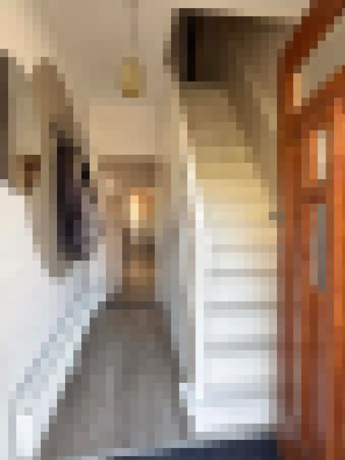 Emmastraat 1 Coevorden thumbnail 25