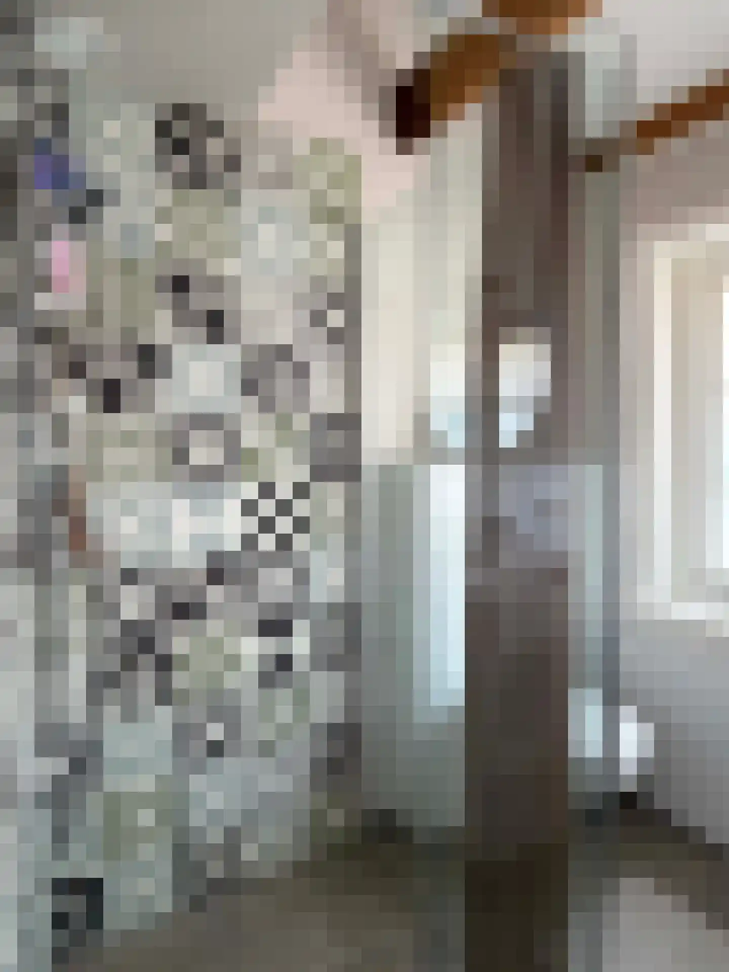 Emmastraat 1 Coevorden thumbnail 30
