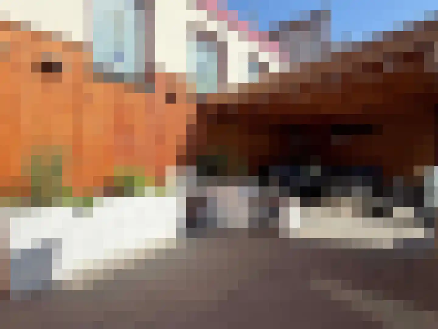 Emmastraat 1 Coevorden thumbnail 9