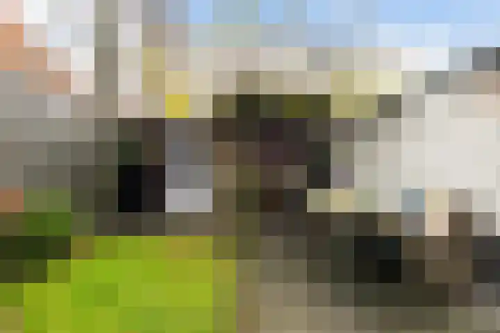 Emmastraat 1 Gouda thumbnail 25