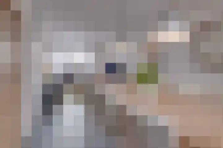 Emmastraat 1 Linne thumbnail 11