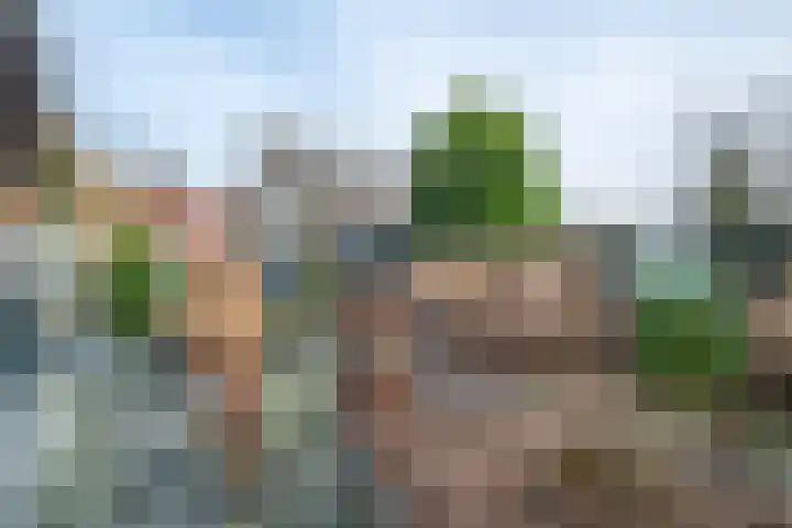 Emmastraat 1 Linne thumbnail 30