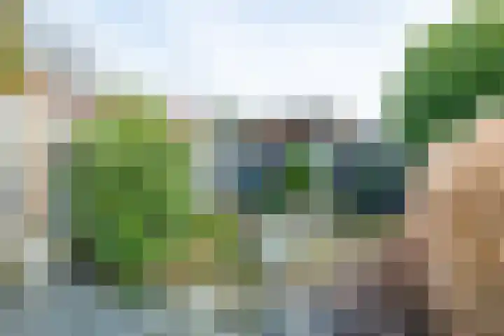 Emmastraat 1 Linne thumbnail 30
