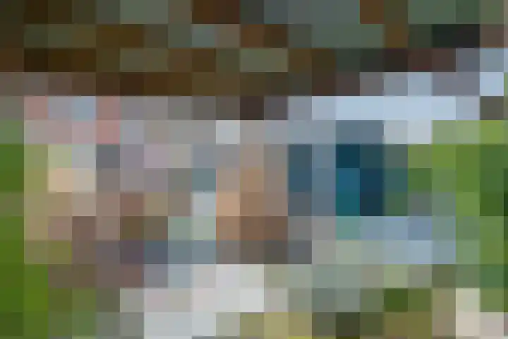 Emmastraat 1 Linne thumbnail 31