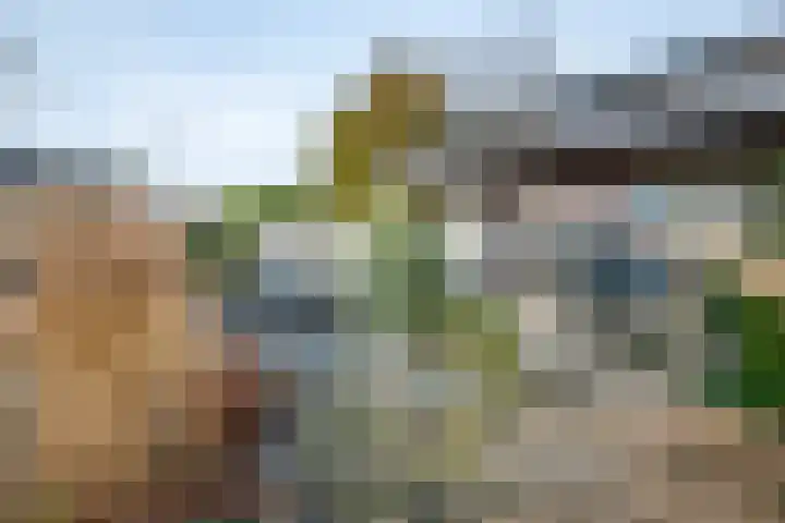 Emmastraat 1 Linne thumbnail 32