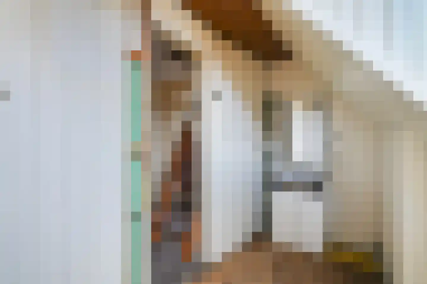 Emmastraat 1 Voorburg thumbnail 19