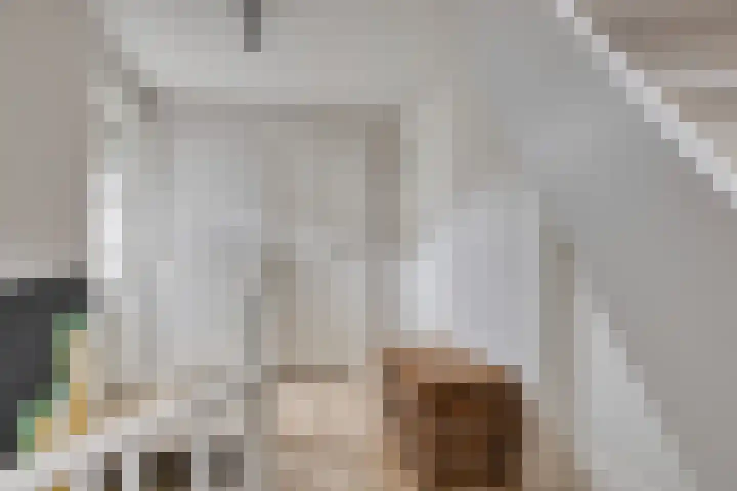 Emmastraat 1 Waalre thumbnail 21