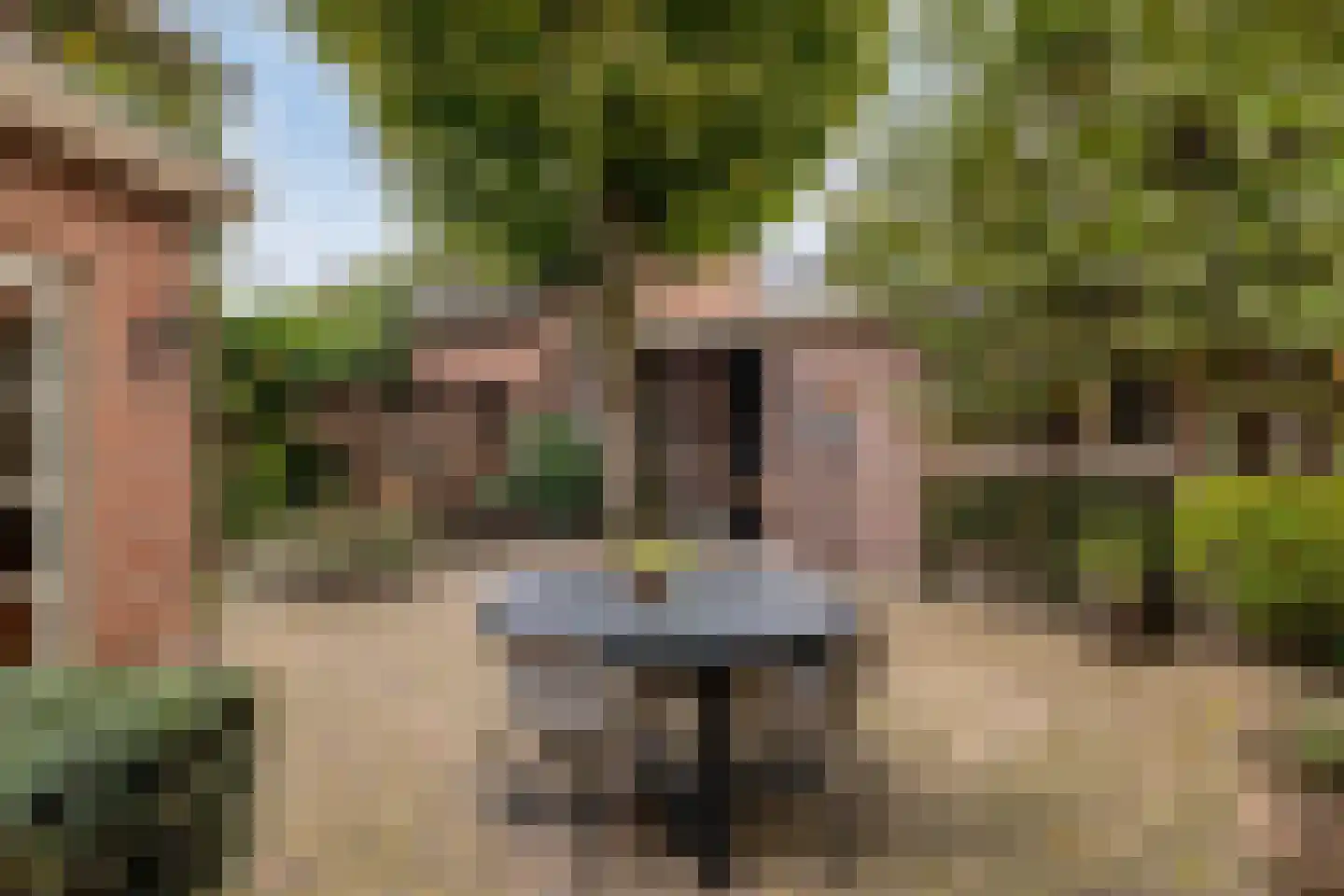 Emmastraat 1 Waalre thumbnail 33