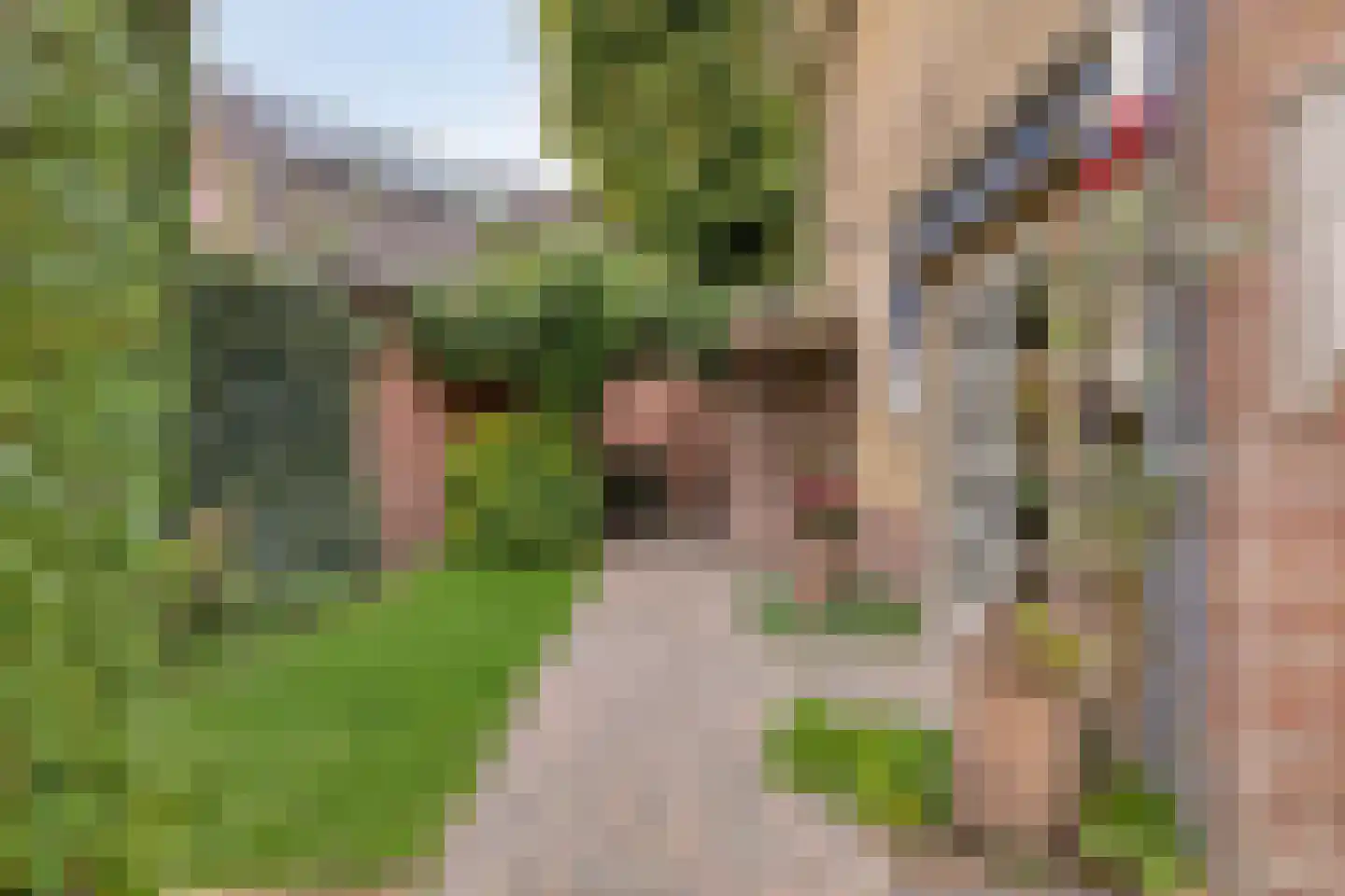Emmastraat 1 Waalre thumbnail 37