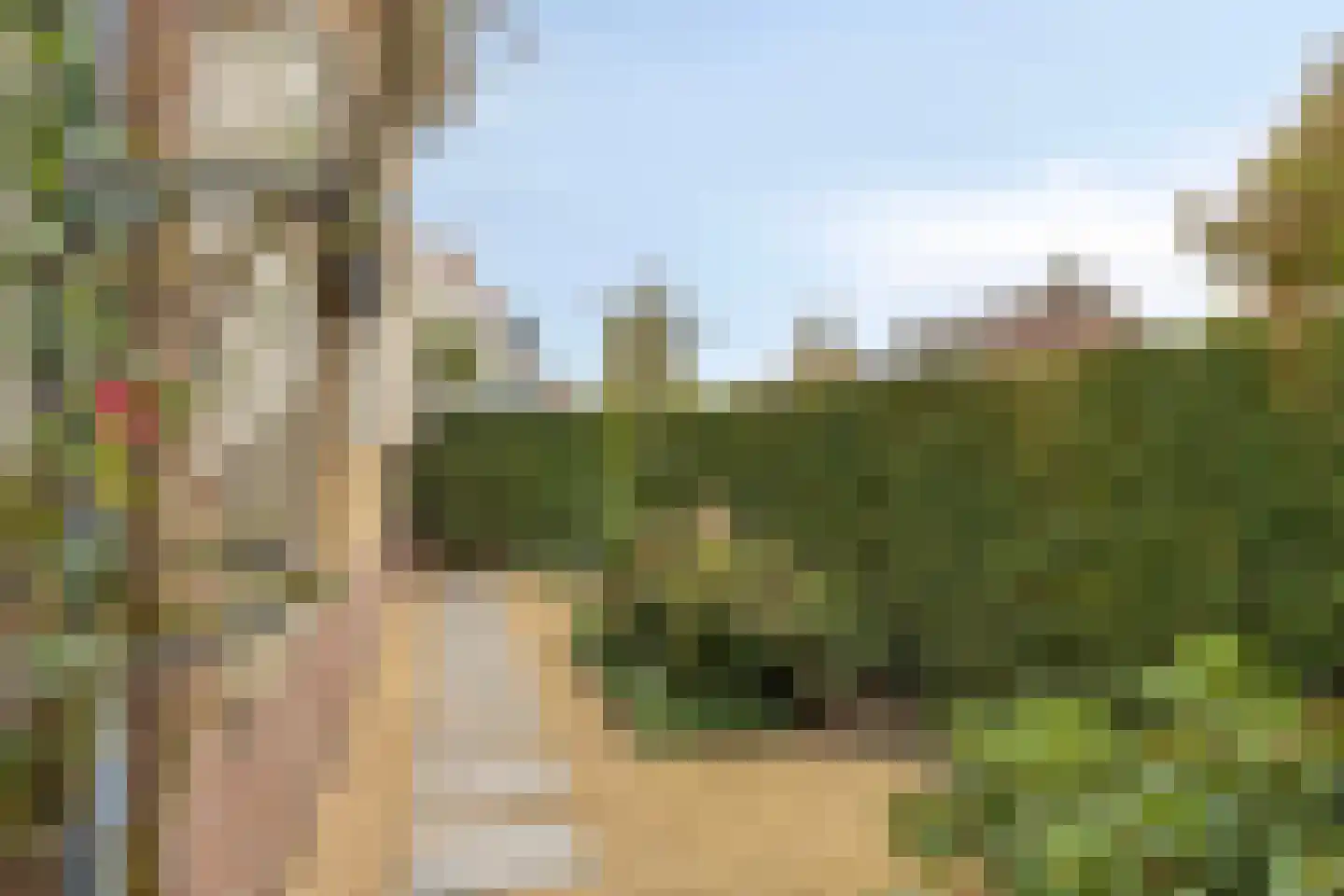Emmastraat 1 Waalre thumbnail 38