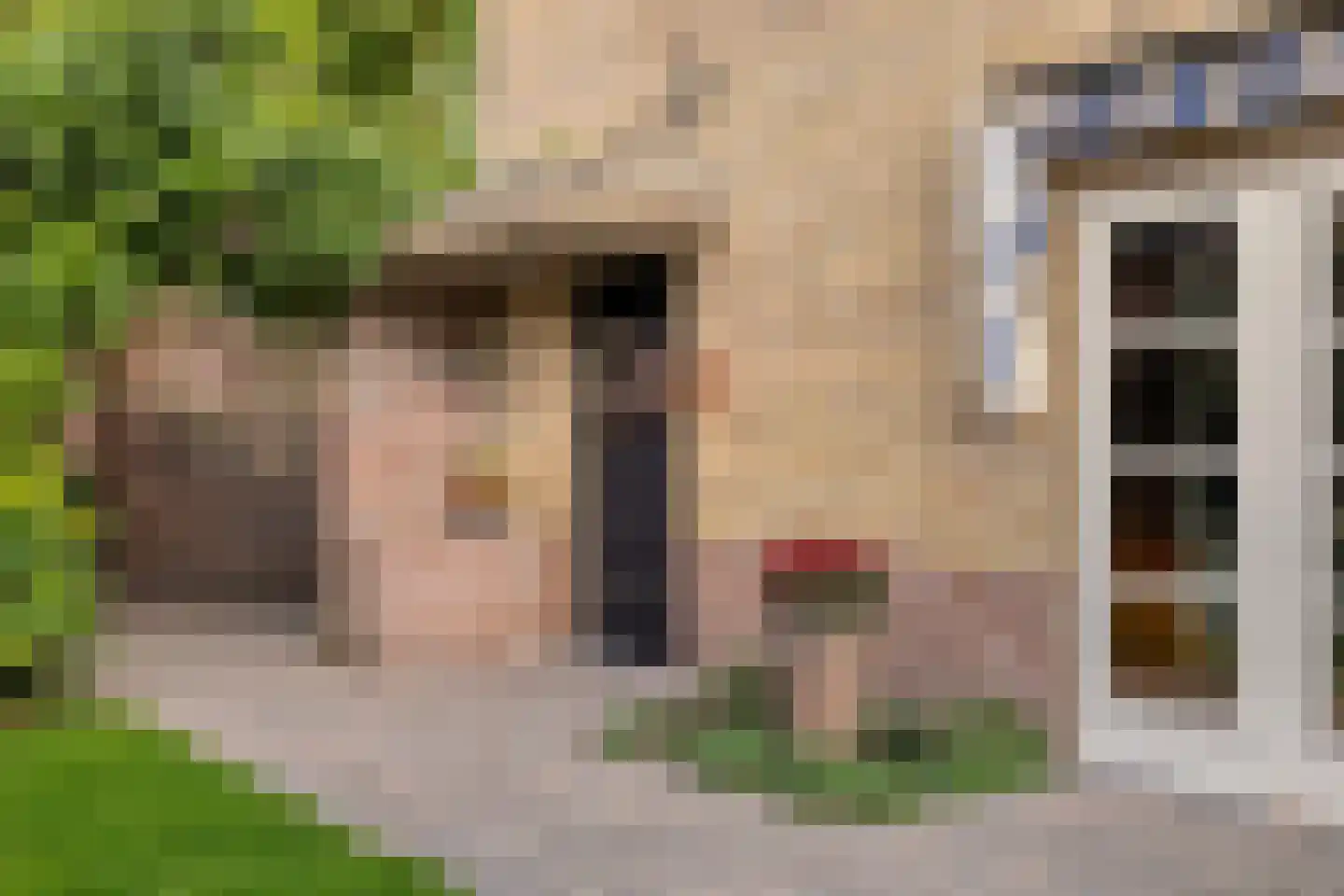 Emmastraat 1 Waalre thumbnail 4