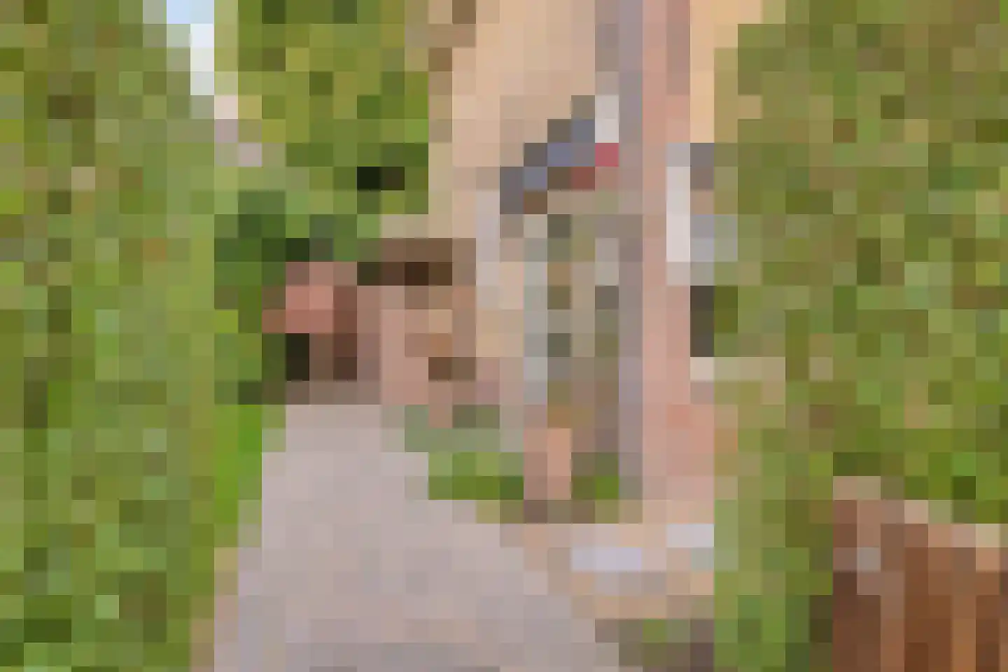 Emmastraat 1 Waalre thumbnail 40