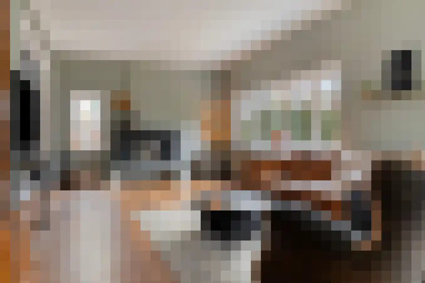 Emmastraat 1 Waalre thumbnail 7