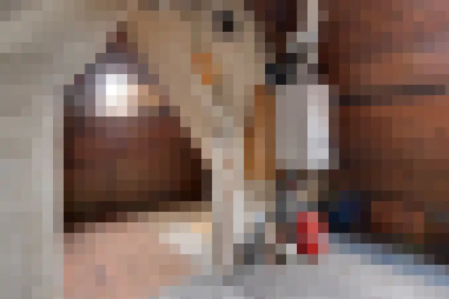 Emmastraat 1 Winterswijk thumbnail 33