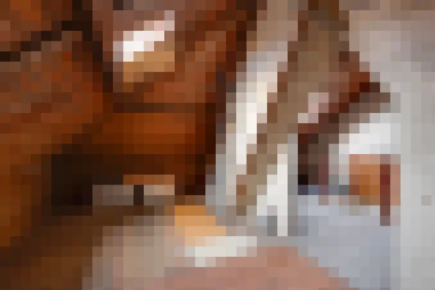 Emmastraat 1 Winterswijk thumbnail 34