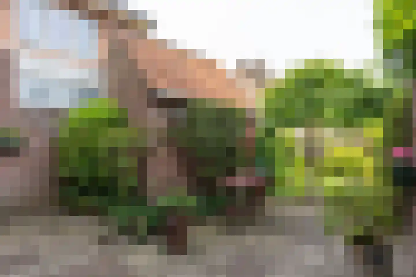 Emmastraat 1 Winterswijk thumbnail 39