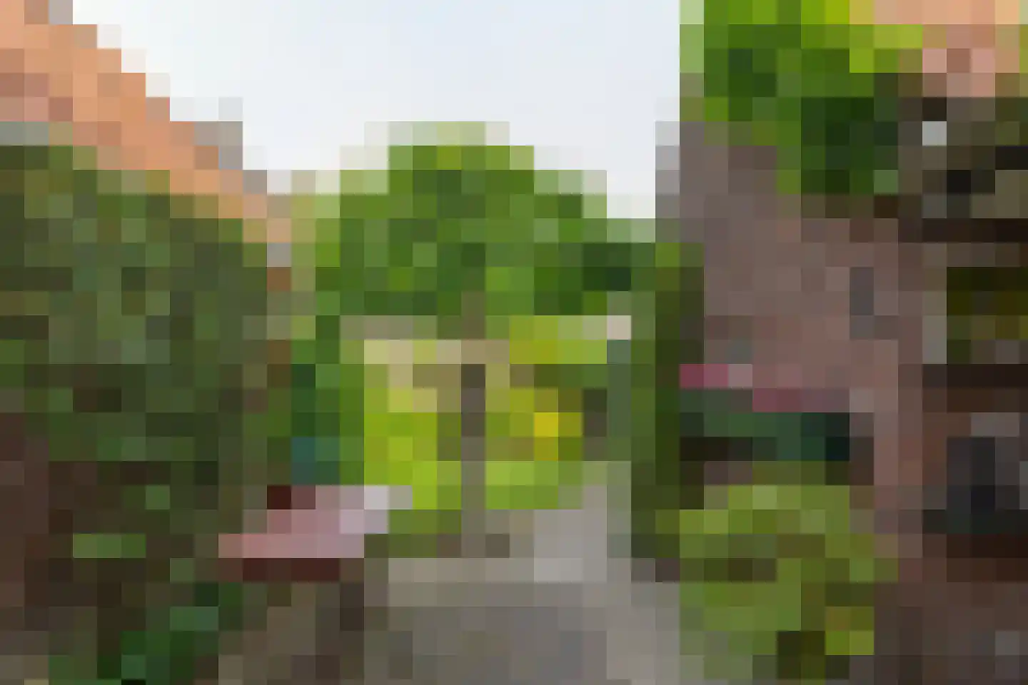 Emmastraat 1 Winterswijk thumbnail 43