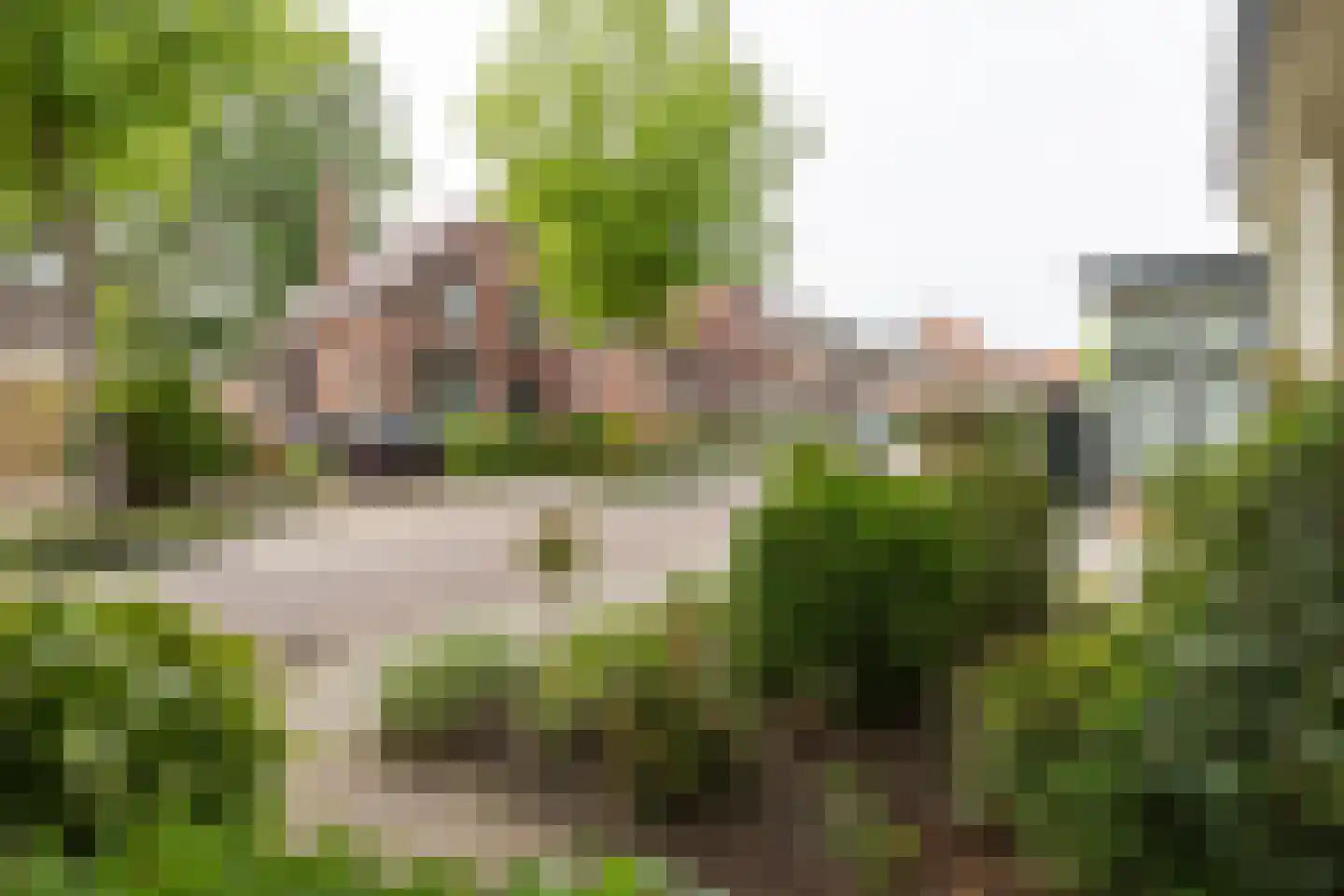 Emmastraat 1 Winterswijk thumbnail 46