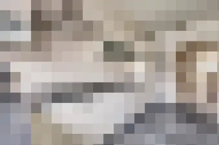 Emmastraat 10 De Lier thumbnail 15
