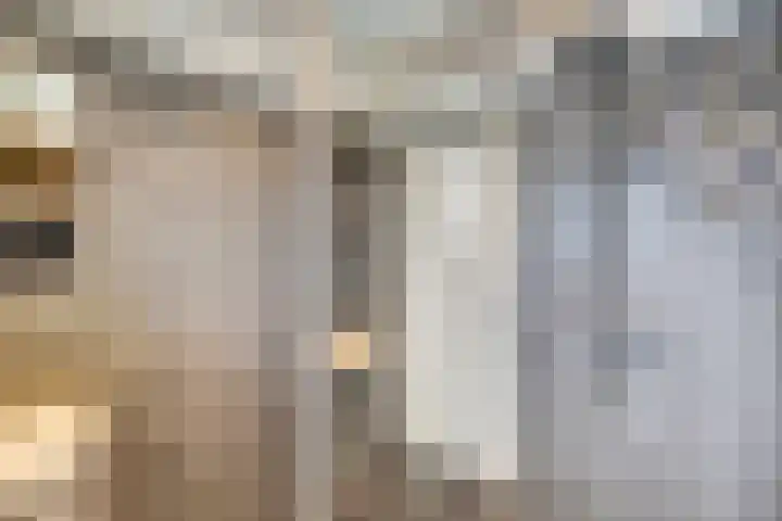 Emmastraat 10 De Lier thumbnail 17