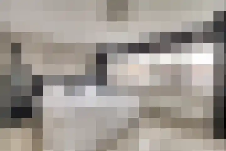 Emmastraat 10 De Lier thumbnail 22