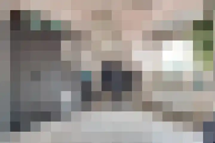 Emmastraat 10 De Lier thumbnail 26