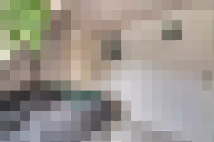 Emmastraat 10 De Lier thumbnail 27