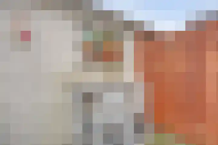 Emmastraat 10 De Lier thumbnail 32