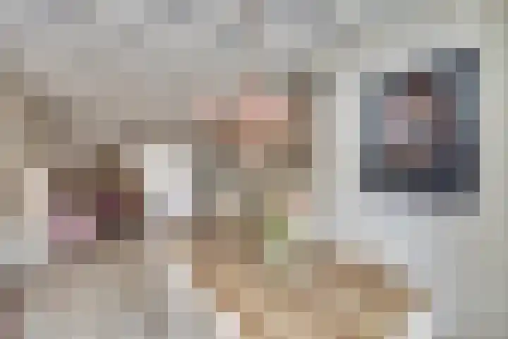 Emmastraat 10 De Lier thumbnail 8