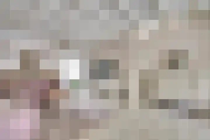 Emmastraat 10 De Lier thumbnail 9