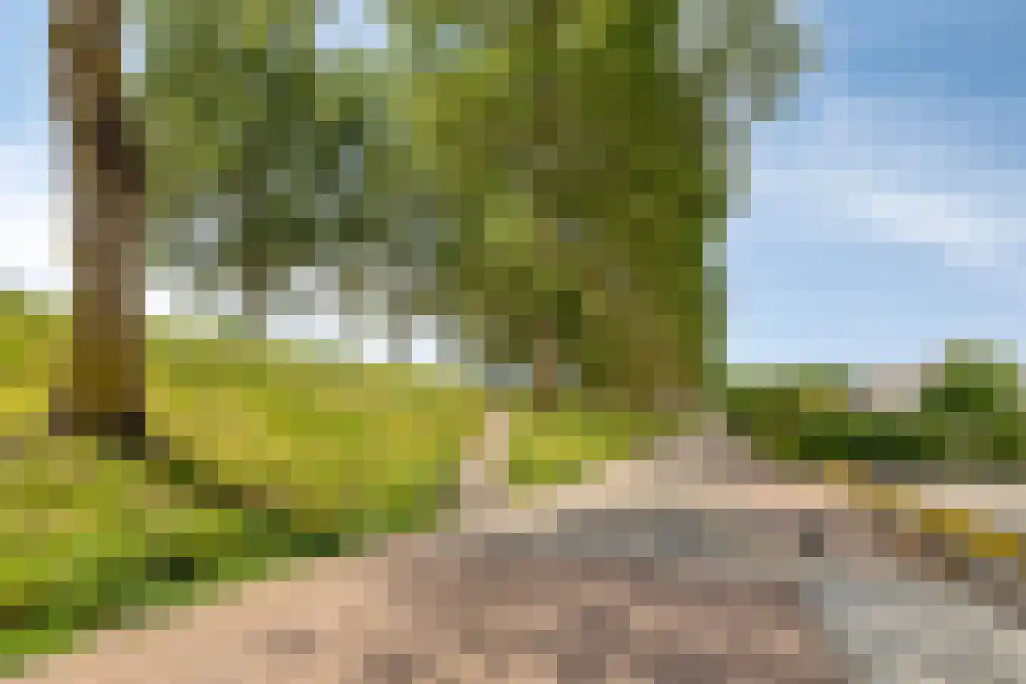 Emmastraat 10 Kortgene thumbnail 43