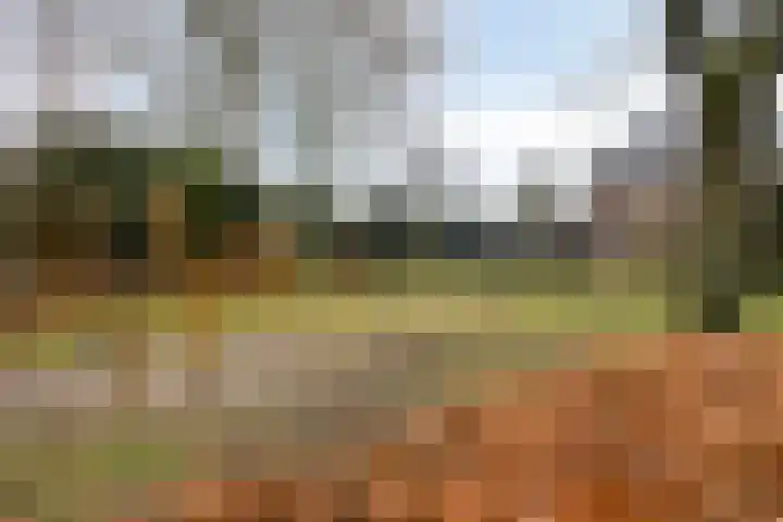 Emmastraat 10 Oldenzaal thumbnail 37