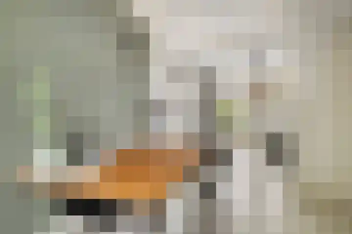 Emmastraat 10 Oud-Beijerland thumbnail 10