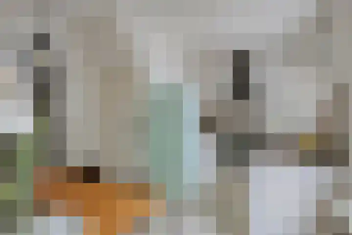 Emmastraat 10 Oud-Beijerland thumbnail 11