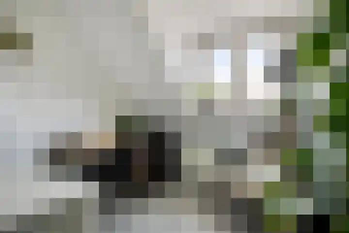 Emmastraat 10 Oud-Beijerland thumbnail 21