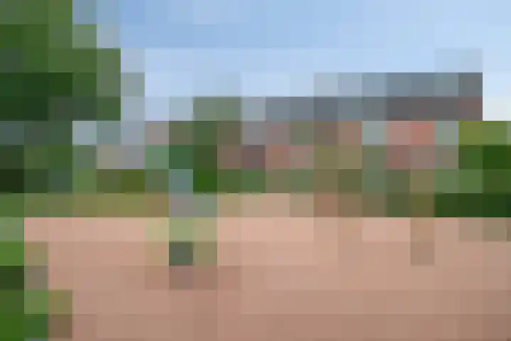 Emmastraat 10 Oud-Beijerland thumbnail 34