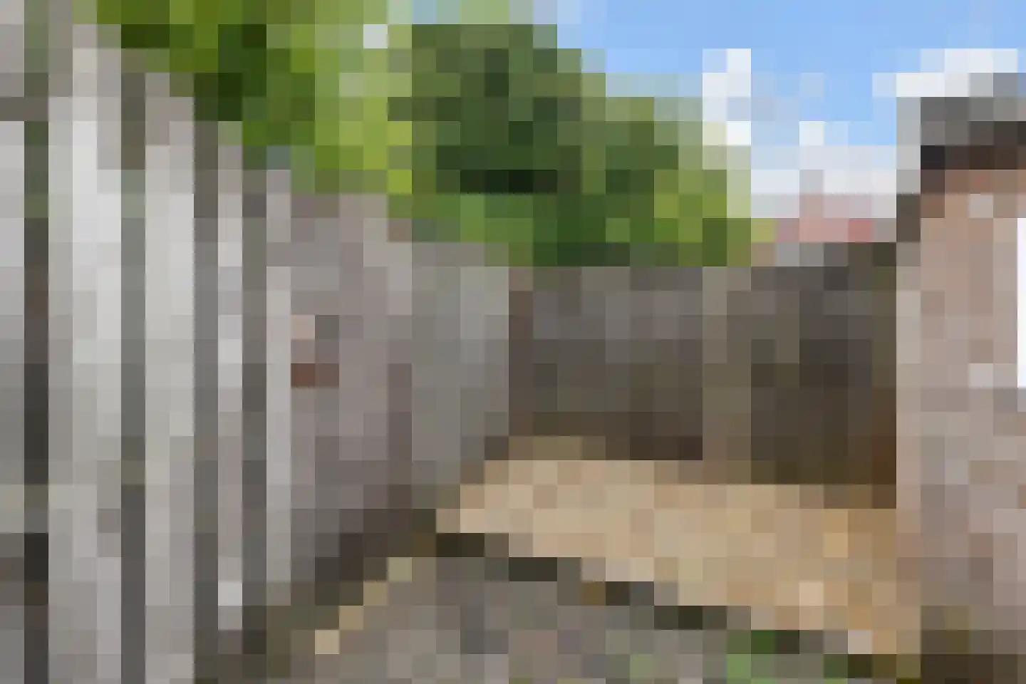 Emmastraat 10 Voorburg thumbnail 19