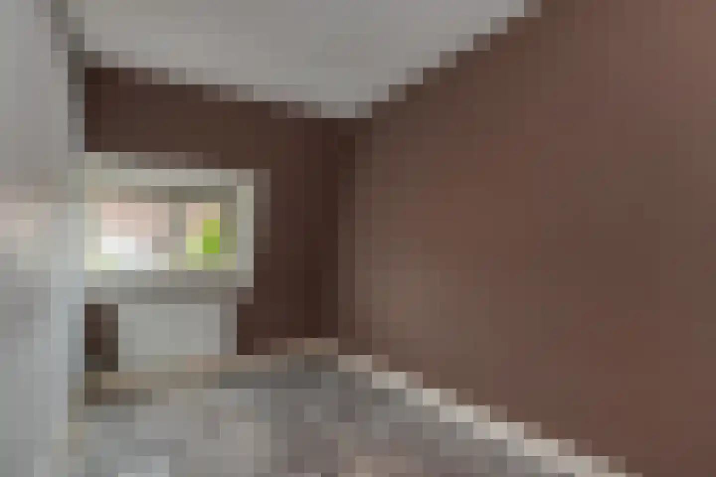 Emmastraat 10 Voorburg thumbnail 26