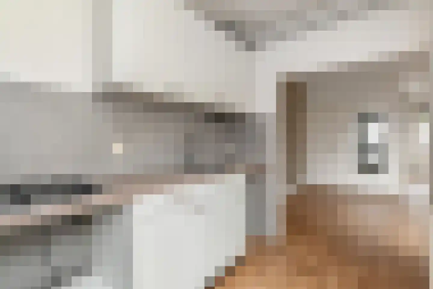 Emmastraat 10 Voorburg thumbnail 4