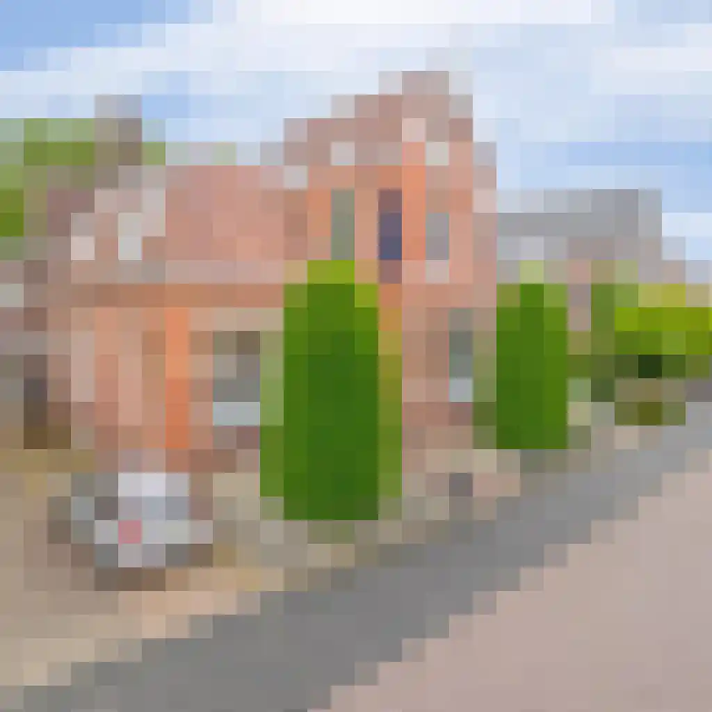 Emmastraat 10 Winschoten thumbnail 6