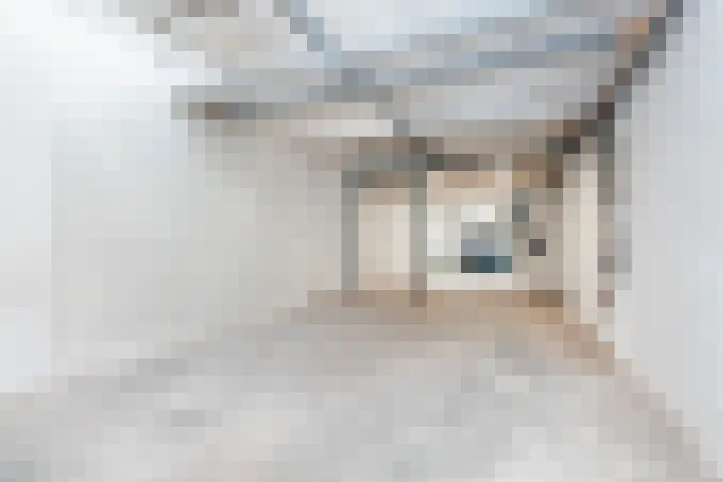 Emmastraat 107 Vlaardingen thumbnail 35