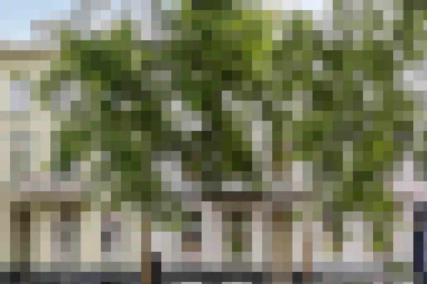 Emmastraat 11 2 Arnhem thumbnail 10