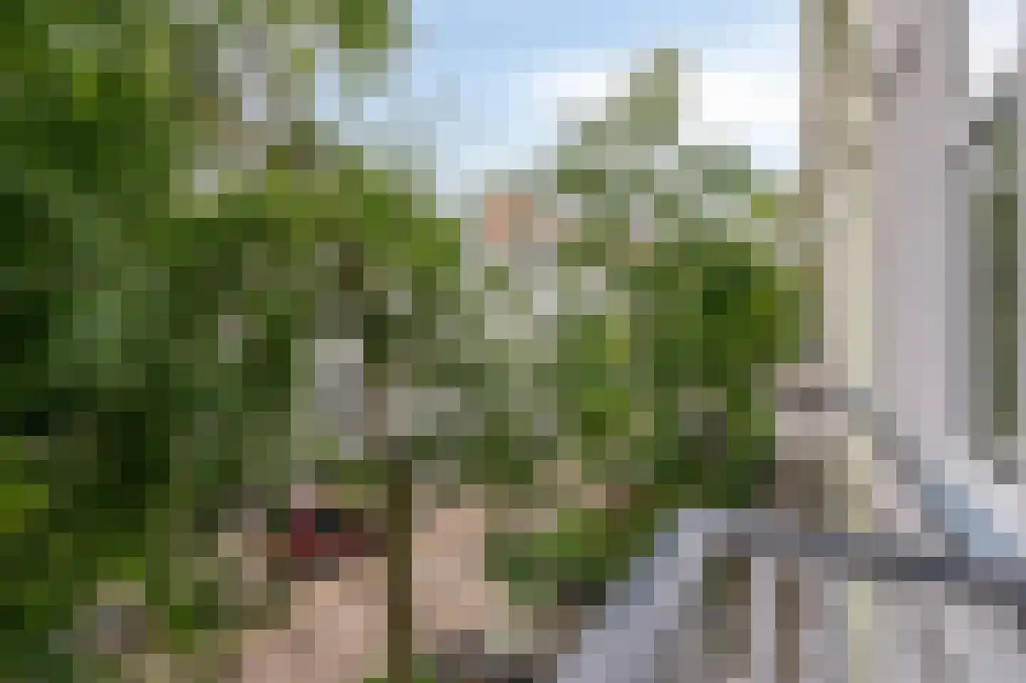 Emmastraat 11 2 Arnhem thumbnail 24